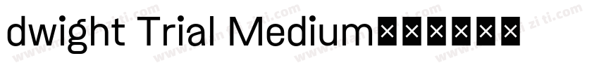 dwight Trial Medium字体转换
